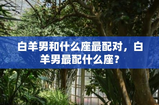 白羊男和什么座最配对，白羊男最配什么座？