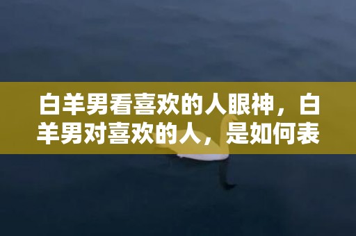 白羊男看喜欢的人眼神，白羊男对喜欢的人，是如何表现出一种特殊的眼神？