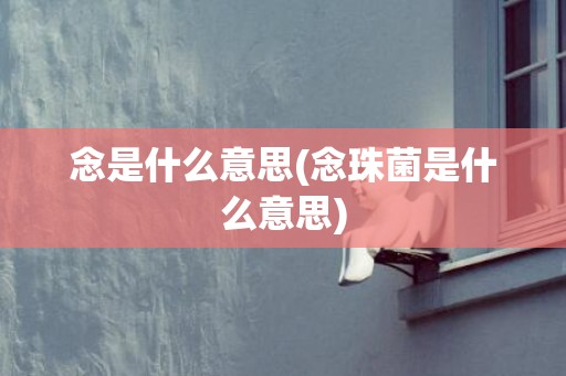 念是什么意思(念珠菌是什么意思)