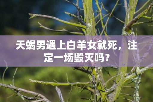 天蝎男遇上白羊女就死，注定一场毁灭吗？