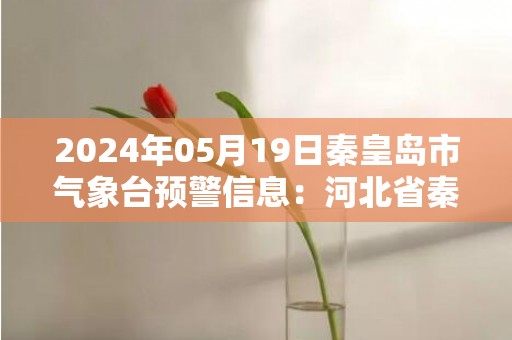 2024年05月19日秦皇岛市气象台预警信息：河北省秦皇岛市更新雷电黄色预警