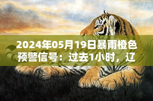 2024年05月19日暴雨橙色预警信号：过去1小时，辽阳县刘二堡镇、小北河镇、黄泥洼镇、唐马寨镇、穆家镇、柳壕镇的降水量已达到30到40毫米；预计未来1到2小时，还将出现20到30毫米的降水，请广大市民远离低洼地带，并注意防范城市内涝、山洪等地质灾害风险。辽阳县气象台预警信息：辽宁省辽阳市辽阳县发布暴雨橙色预警