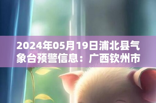 2024年05月19日浦北县气象台预警信息：广西钦州市浦北县更新暴雨红色预警