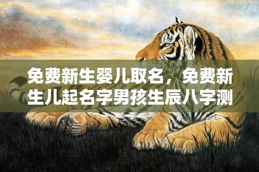 免费新生婴儿取名，免费新生儿起名字男孩生辰八字测名