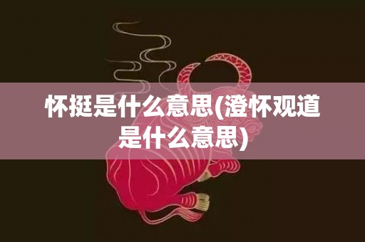 怀挺是什么意思(澄怀观道是什么意思)