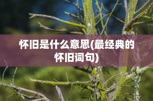 怀旧是什么意思(最经典的怀旧词句)