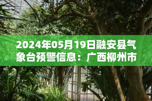 2024年05月19日融安县气象台预警信息：广西柳州市融安县更新暴雨橙色预警