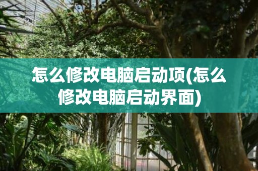 怎么修改电脑启动项(怎么修改电脑启动界面)
