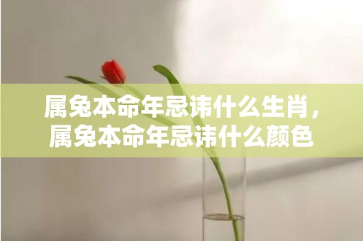 属兔本命年忌讳什么生肖，属兔本命年忌讳什么颜色