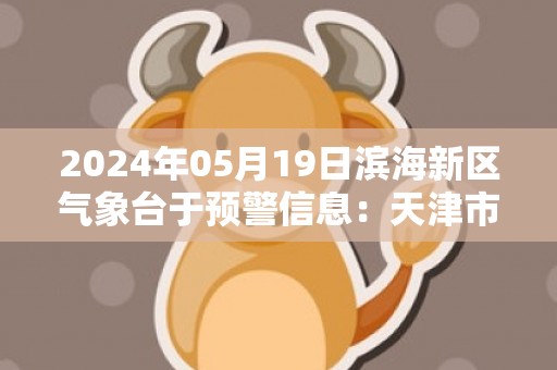 2024年05月19日滨海新区气象台于预警信息：天津市滨海新区发布雷电黄色预警