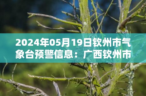 2024年05月19日钦州市气象台预警信息：广西钦州市更新雷雨大风橙色预警