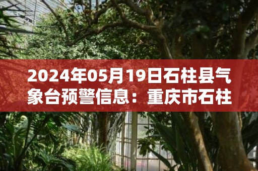 2024年05月19日石柱县气象台预警信息：重庆市石柱土家族自治县发布暴雨蓝色预警