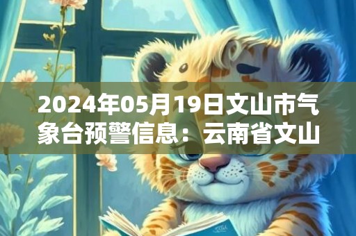 2024年05月19日文山市气象台预警信息：云南省文山壮族苗族自治州发布雷电黄色预警