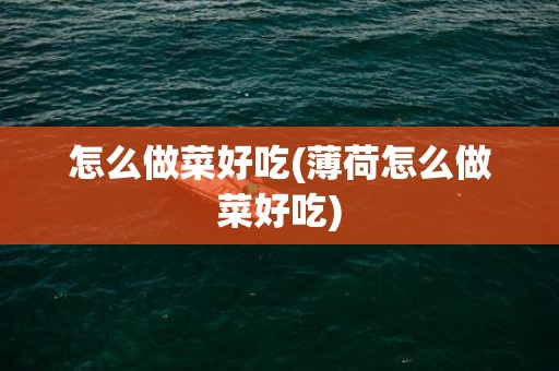 怎么做菜好吃(薄荷怎么做菜好吃)