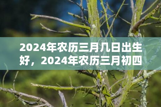 2024年农历三月几日出生好，2024年农历三月初四出生的男生命运好还是不好