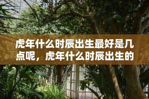 虎年什么时辰出生最好是几点呢，虎年什么时辰出生的宝宝命最好