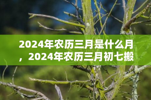 2024年农历三月是什么月，2024年农历三月初七搬新家好不好