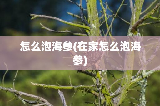 怎么泡海参(在家怎么泡海参)