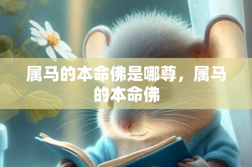 属马的本命佛是哪尊，属马的本命佛