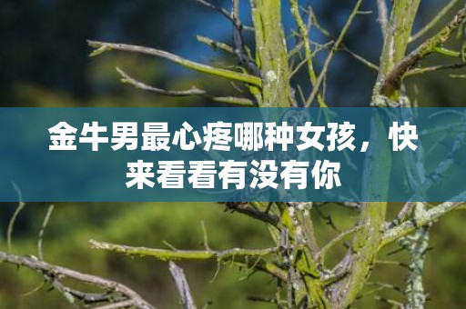 金牛男最心疼哪种女孩，快来看看有没有你
