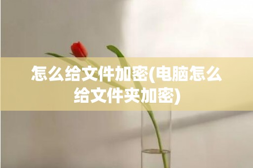 怎么给文件加密(电脑怎么给文件夹加密)