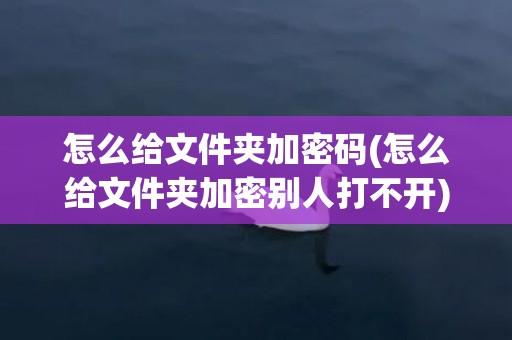 怎么给文件夹加密码(怎么给文件夹加密别人打不开)
