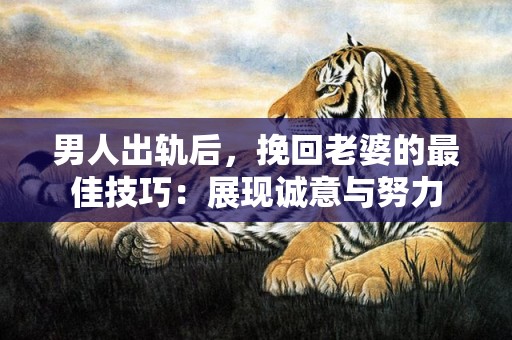 男人出轨后，挽回老婆的最佳技巧：展现诚意与努力