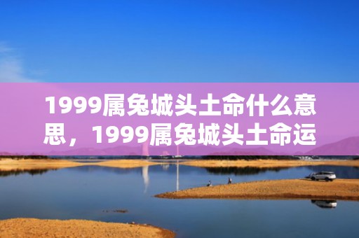 1999属兔城头土命什么意思，1999属兔城头土命运