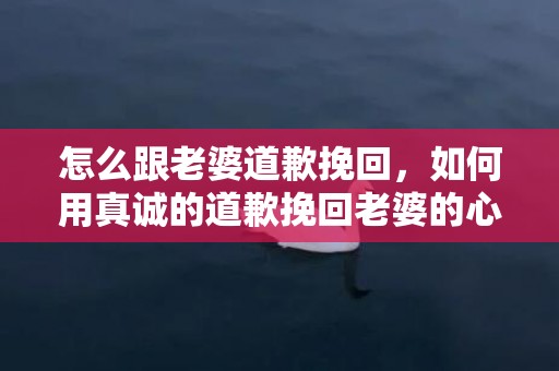 怎么跟老婆道歉挽回，如何用真诚的道歉挽回老婆的心?