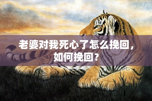老婆对我死心了怎么挽回，如何挽回？