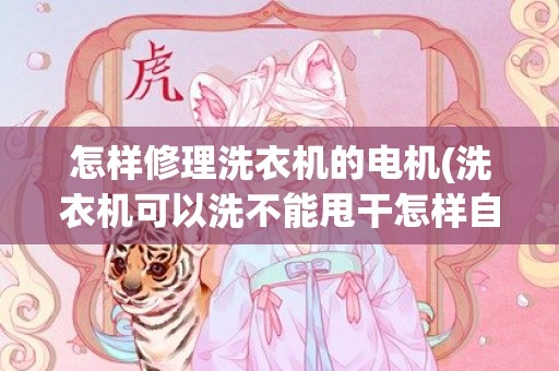 怎样修理洗衣机的电机(洗衣机可以洗不能甩干怎样自己修理)