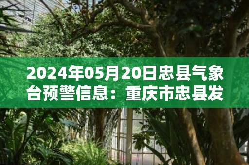 2024年05月20日忠县气象台预警信息：重庆市忠县发布暴雨蓝色预警