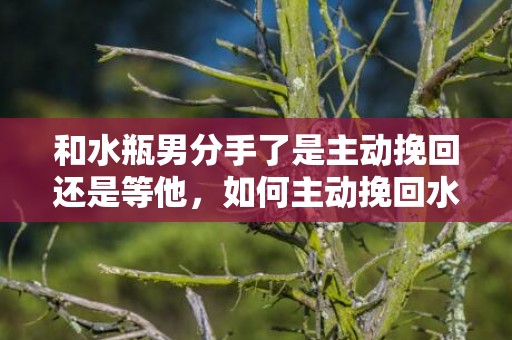 和水瓶男分手了是主动挽回还是等他，如何主动挽回水瓶男？