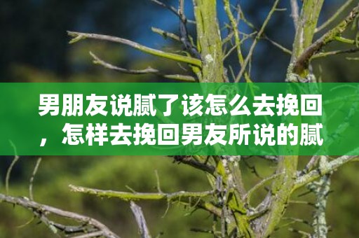 男朋友说腻了该怎么去挽回，怎样去挽回男友所说的腻了？
