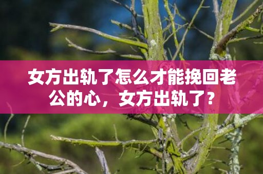 女方出轨了怎么才能挽回老公的心，女方出轨了？