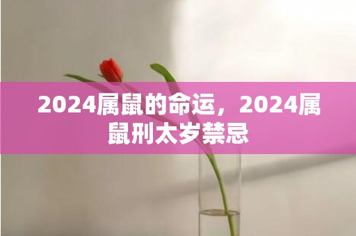 2024属鼠的命运，2024属鼠刑太岁禁忌