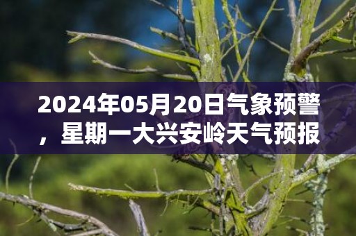 2024年05月20日气象预警，星期一大兴安岭天气预报 大部晴转小雨