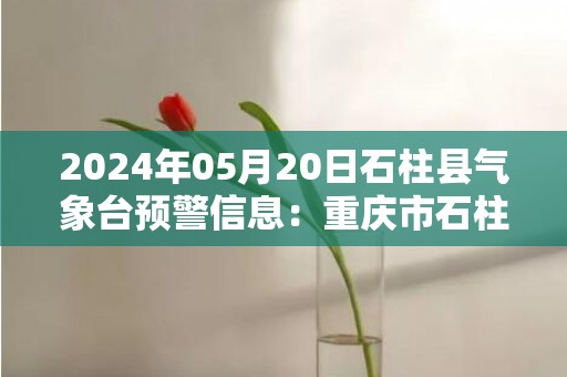 2024年05月20日石柱县气象台预警信息：重庆市石柱土家族自治县发布暴雨蓝色预警