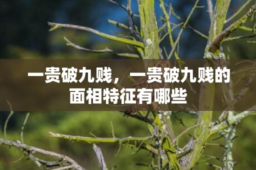 一贵破九贱，一贵破九贱的面相特征有哪些