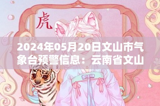 2024年05月20日文山市气象台预警信息：云南省文山壮族苗族自治州发布雷电黄色预警
