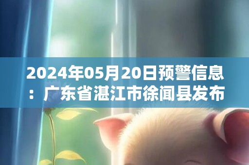 2024年05月20日预警信息：广东省湛江市徐闻县发布暴雨橙色预警