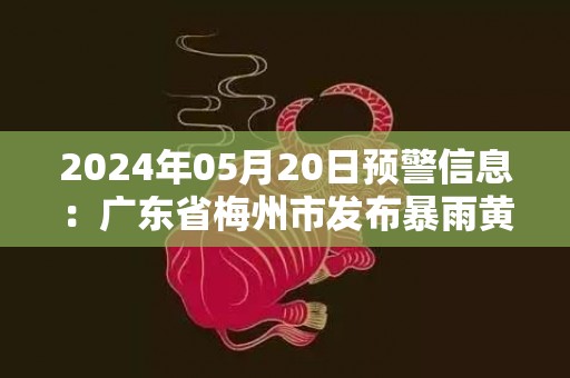 2024年05月20日预警信息：广东省梅州市发布暴雨黄色预警