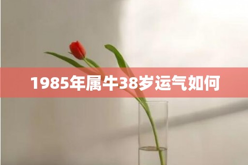 1985年属牛38岁运气如何