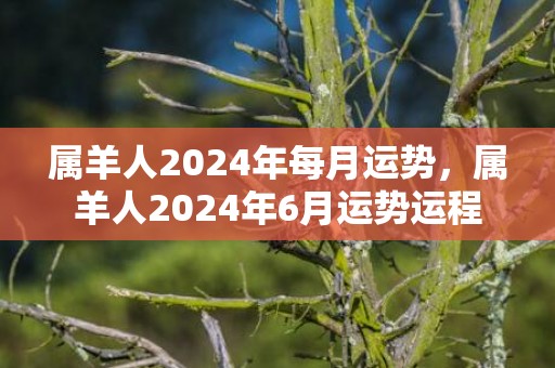 属羊人2024年每月运势，属羊人2024年6月运势运程