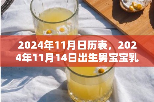 2024年11月日历表，2024年11月14日出生男宝宝乳名大全