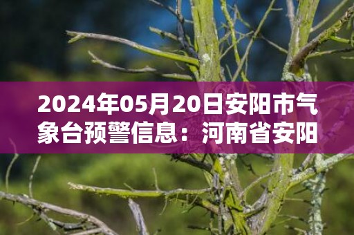 2024年05月20日安阳市气象台预警信息：河南省安阳市发布雷暴大风橙色预警