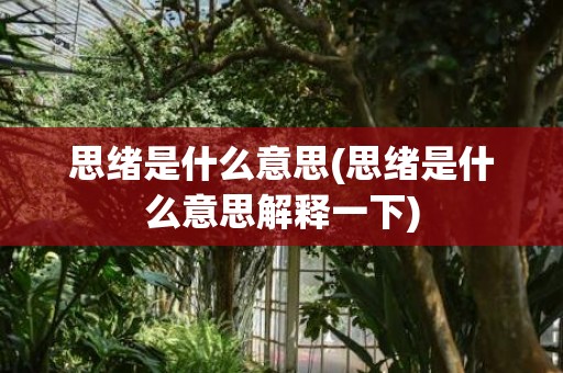 思绪是什么意思(思绪是什么意思解释一下)