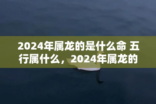 2024年属龙的是什么命 五行属什么，2024年属龙的人怎么化解官非之灾