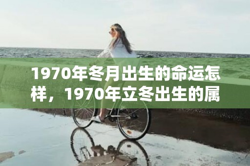 1970年冬月出生的命运怎样，1970年立冬出生的属狗女孩子命运如何