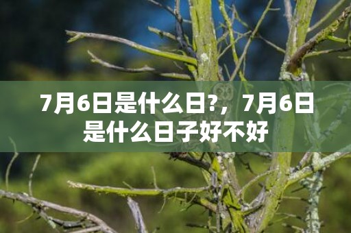 7月6日是什么日?，7月6日是什么日子好不好